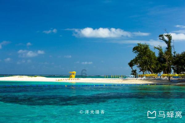 精准答疑平台-用酸奶浇花好不好?,为您解疑答惑